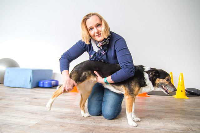 Hundephysio Zentralschweiz